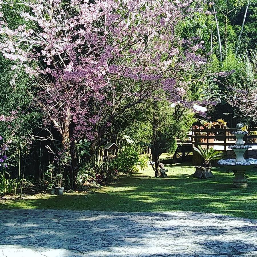 Havila Arara Azul Nova Friburgo Exterior foto