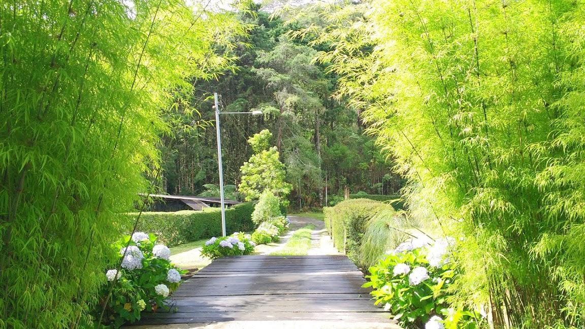 Havila Arara Azul Nova Friburgo Exterior foto